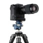 BENRO Rótula micrométrica GD36PT BENRO Rótula micrométrica GD36PT