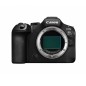 CANON R6 MK III