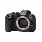 CANON R6 MK III