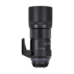 Olympus 300mm f4.0 IS PRO ED M.Zuiko
