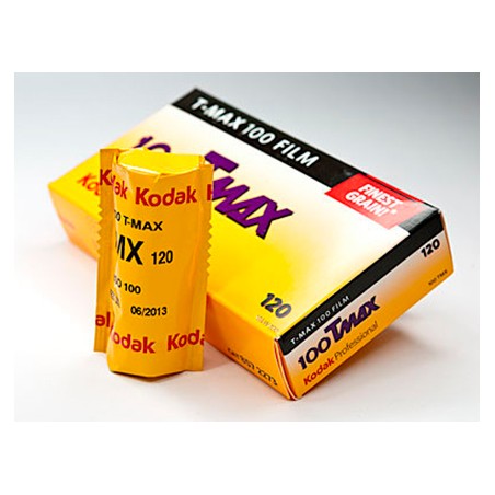 Kodak T-Max 100 120