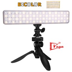 Antorcha Video Led CN-T80C Bicolor