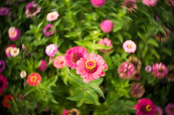 LENSBABY TRIO 28 SONY E-5