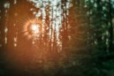 LENSBABY TRIO 28 SONY E LENSBABY TRIO 28 SONY E