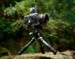 Trípode LEOFOTO LS-223C Carbono