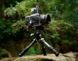 Trípode LEOFOTO LS-223C + LH25 Carbono