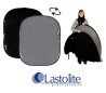 LASTOLITE Fondo Plegable Negro / Gris 1,8 x 2,15 LL LB67GB LASTOLITE Fondo Plegable Negro / Gris 1,8 x 2,15 LL LB67GB