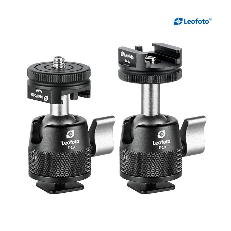 LEOFOTO F-19 Mini rótula con zapata para flash LEOFOTO F-19 Mini rótula con zapata para flash