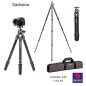 TRÍPODE BENRO TORTOISE 24C CARBONO + GX30 TRÍPODE BENRO TORTOISE 24C CARBONO + GX30