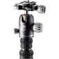 TRÍPODE BENRO RHINO 14C CARBONO + VX20 KIT TRÍPODE CARBONO CON RÓTULA TRÍPODE BENRO RHINO 14C CARBONO + VX20 KIT TRÍPODE CARBONO CON RÓTULA