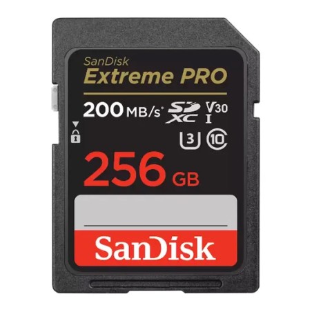 Sandisk-sd-extreme-256