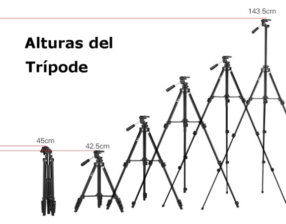 TRIPODE BENRO T560N CON RÓTULA Y FUNDA