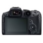 CANON EOS R7 + RF-S 18-150 IS STM CANON EOS R7 + RF-S 18-150 IS STM