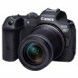 CANON EOS R7 + RF-S 18-150 IS STM CANON EOS R7 + RF-S 18-150 IS STM