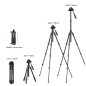 TRÍPODE K&F K234A0 CON RÓYULA DE BOLA BH28L TRÍPODE K&F K234A0 CON RÓYULA DE BOLA BH28L