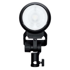 PROFOTO Pro-D3 1250