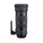 Sigma 120-300 F2.8 DG OS HSM SPORTS Nikon Sigma 120-300 F2.8 DG OS HSM SPORTS Nikon