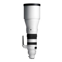 Sigma 300-600mm F4 DG OS Sports