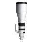 Sigma 300-600mm F4 DG OS Sports